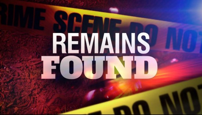Possible Human Remains Found in Suitcase Floating in Ross Lake - Skagit Breaking: Community News